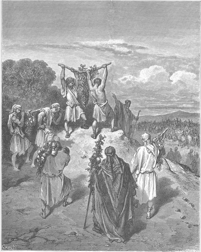 Los espías regresan de la tierra prometida