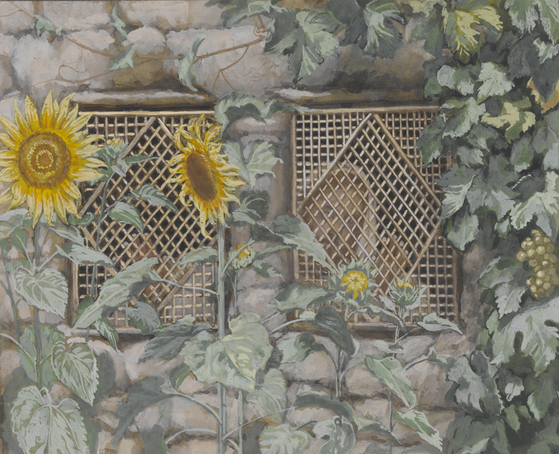 Jesús mirando por la celosía