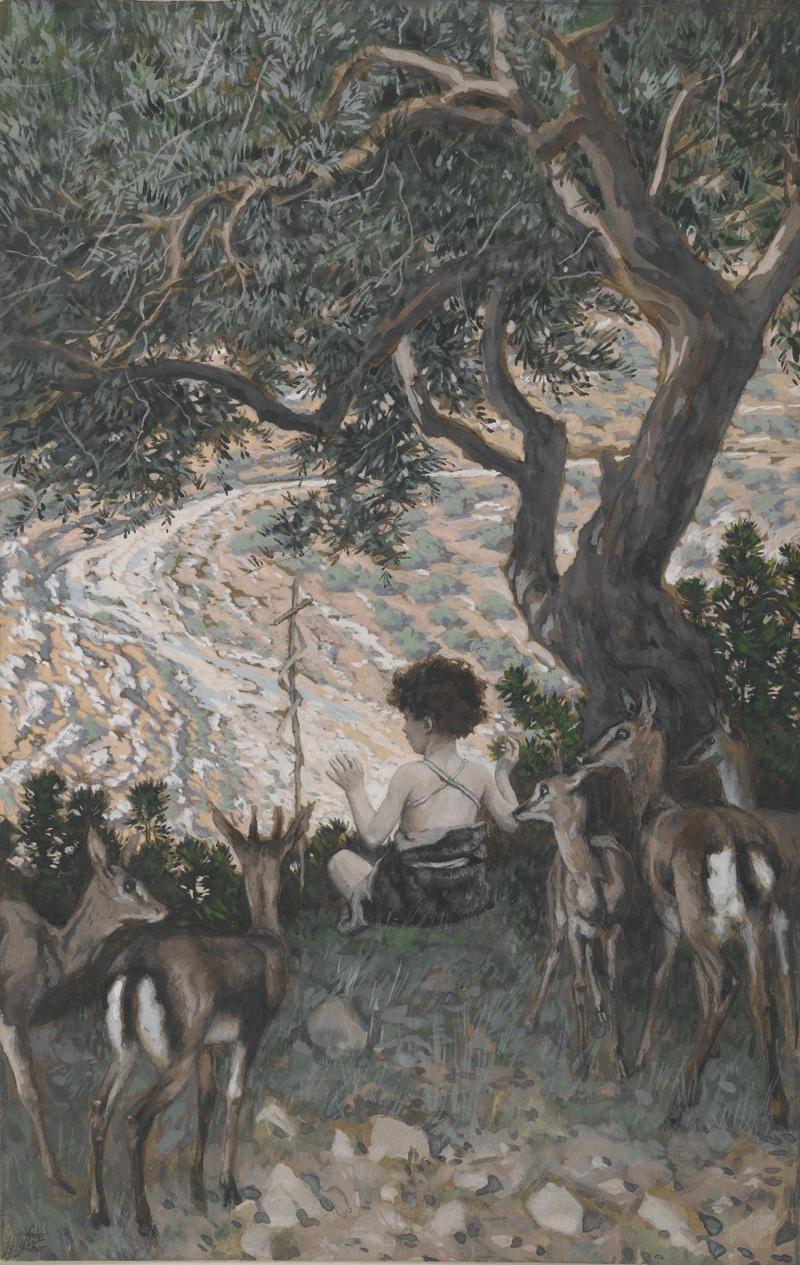 Juan el Bautista de niño