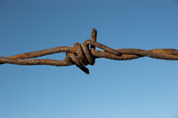 https://www.solideogloria.es/articulos-de-opinion/sufrimiento-injusto