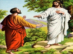 https://www.solideogloria.es/articulos-de-opinion/las-siete-palabras-de-pedro-la-palabra-de-confesion