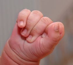 https://www.solideogloria.es/articulos-de-opinion/el-famoso-texto-de-exodo-sobre-el-aborto