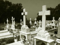 https://www.solideogloria.es/articulos-de-opinion/la-tragedia-del-aborto