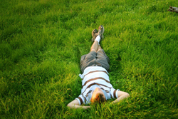 https://www.solideogloria.es/articulos-de-opinion/el-new-york-times-y-la-siesta