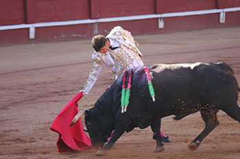 https://www.solideogloria.es/articulos-de-opinion/animalismo-y-humanitarismo