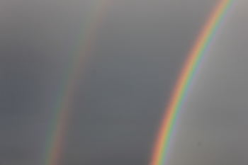 https://www.solideogloria.es/articulos-de-opinion/teologia-del-arco-iris