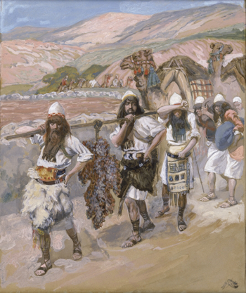 https://www.solideogloria.es/articulos-de-opinion/una-aplastante-mayoria-aplastada