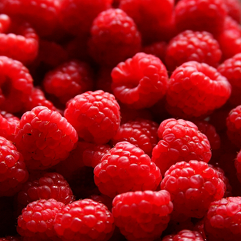 https://www.solideogloria.es/articulos-de-opinion/consejos-vomitivos-y-consejos-nutritivos