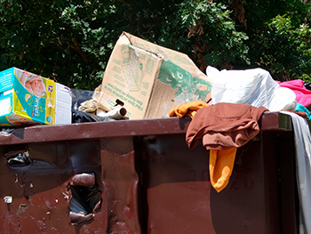 https://www.solideogloria.es/articulos-de-opinion/basura-desechable