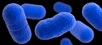 https://www.solideogloria.es/articulos-de-opinion/los-abortos-de-la-listeriosis