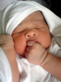 https://www.solideogloria.es/articulos-de-opinion/aborto-y-pena-de-muerte