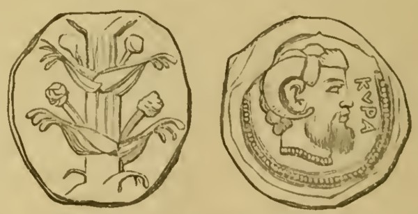 Tetradracma de Cirene, con cabeza de Júpiter Amón