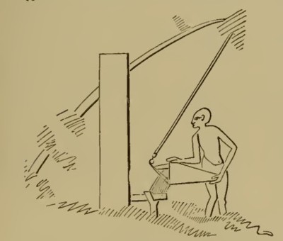 Pértiga y cubo para regar