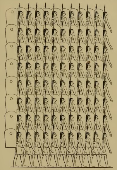 Infantería egipcia (Wilkinson)