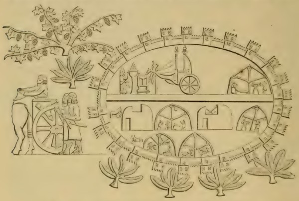 Figura 2. Laquis tras su captura