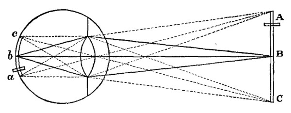 Imagen de Essay towards a New Theory of Vision