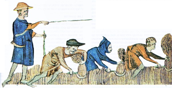 CAMPESINADO, GUERRA DEL