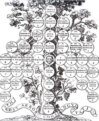 Árbol del parentesco que representa los grados de consanguinidad.La computación germánica o eclesiástica en números romanos,la romana o civil en números arábigos