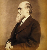 Charles Darwin, c. 1867