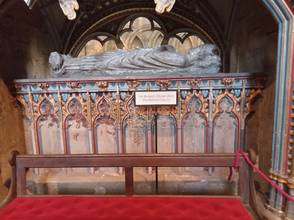 HATFIELD, THOMAS DE (&dagger; 1381)