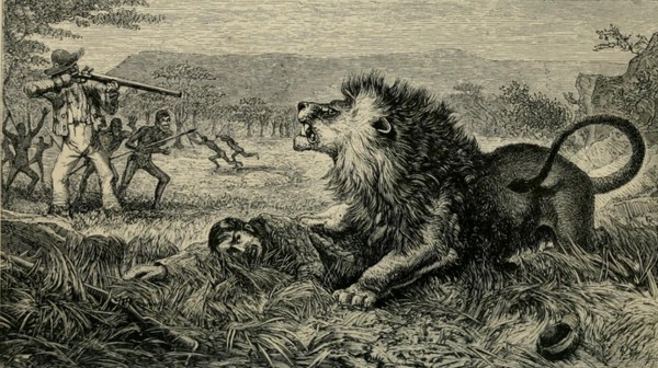 David Livingstone atacado por el león