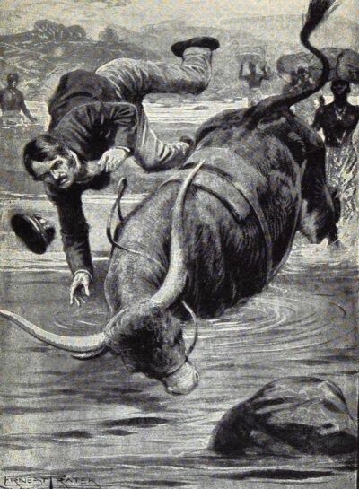 Tropiezo del buey de David Livingstone