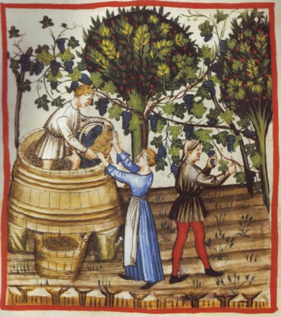 LLAMAMIENTO TERRENAL