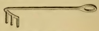LLAVE