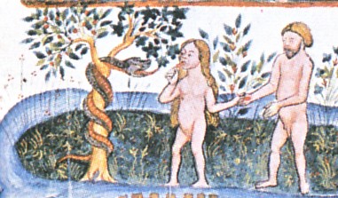 VOLUNTAD, LIBERTAD DE LA